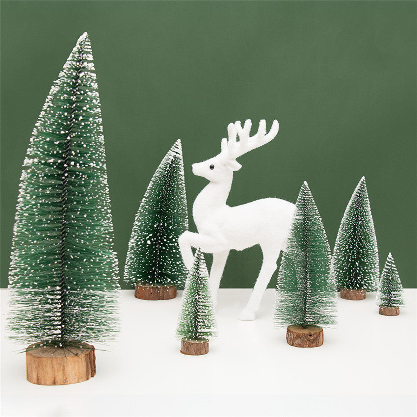 White tipped needles on a small green pine Christmas tree